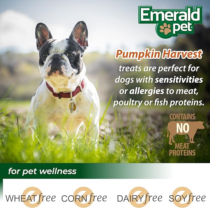 Emerald Pet Pumpkin Harvest Mini Trainers Chewy Dog Treats Made in The USA, Pumpkin 6oz (Pumpkin Mini)