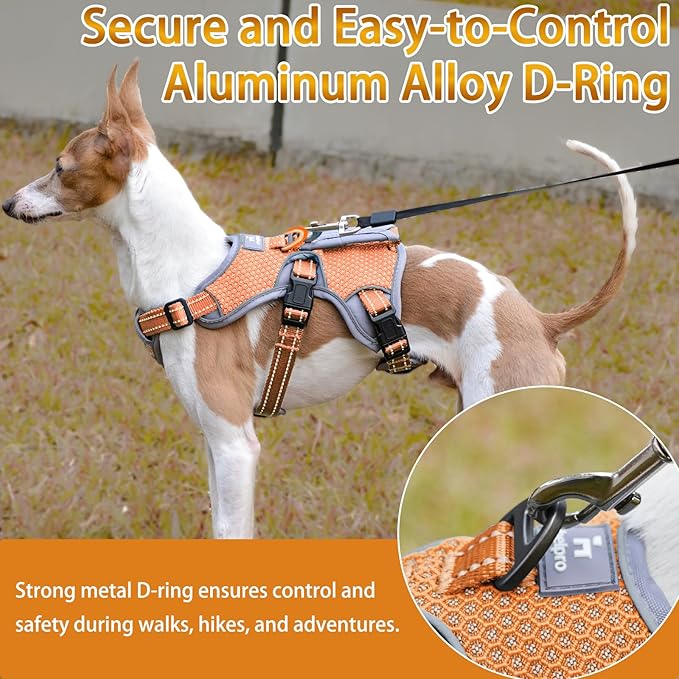 BELPRO Multi-Use Support Dog Harness, Escape Proof No Pull Reflective Adjustable Vest with Durable Handle, Dog Walking Harness for Big/Active Dogs (Orange, S)