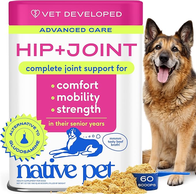 Native Pet Hip & Joint Advanced Care Dog Joint Supplement Powder for Mobility & Movement Support, Joint Supplement for Dogs with HMB, UC-II Collagen, Green Lipped Mussel & Hyaluronic Acid – 60 Scoops