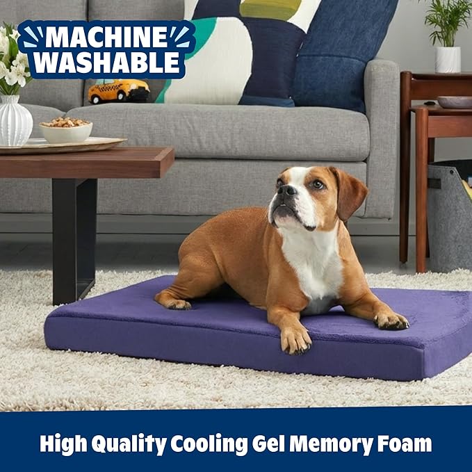 Barkbox Orthopedic Dog Bed with Memory Foam - Comfortable, Durable & Machine Washable Pet Bed - Small - Navy