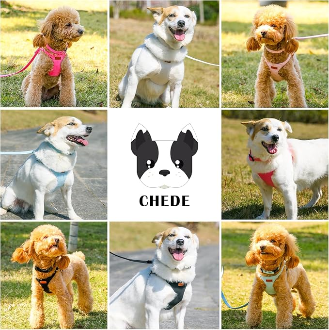 No Pull Dog Harness- Lightweight, Soft, Adjustable Small Harness Collar and Leash Set, Suitable for Cats Puppy Small and Medium-Sized Dog Outdoor Training and Running (Blue, M)