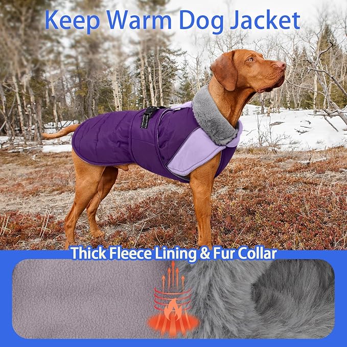 MIGOHI Cozy Small Dog Coat - Reflective Dog Coat for Small Dogs,Fleece Winter Coats Jacket for Dogs with Leash Hole,Snowproof Thick Puppy Clothes,Pomeranian,Chihuahua,XS,Purple
