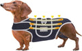 Back Bracer for IVDD Arthritis, Lab Spinal Surgical Recovery, Soft Rehab Frame Support Harness for Back, Adjustable Dachshund Pet Hip Brace Support Helps Pain Relief and Disease Rrevention (XL)