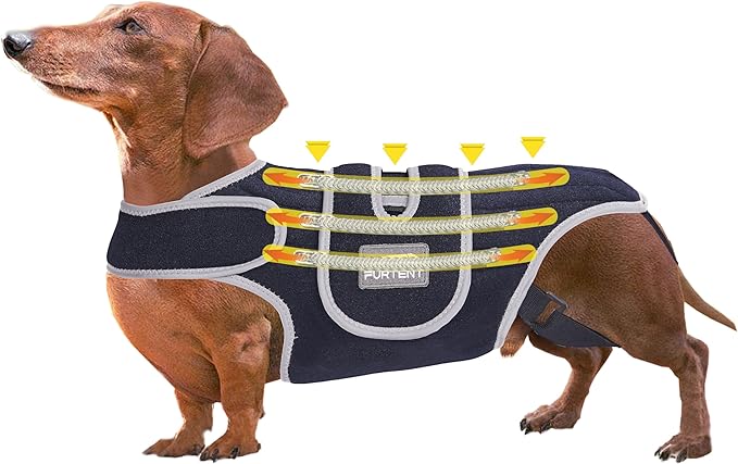 Back Bracer for IVDD Arthritis, Lab Spinal Surgical Recovery, Soft Rehab Frame Support Harness for Back, Adjustable Dachshund Pet Hip Brace Support Helps Pain Relief and Disease Rrevention (XL)