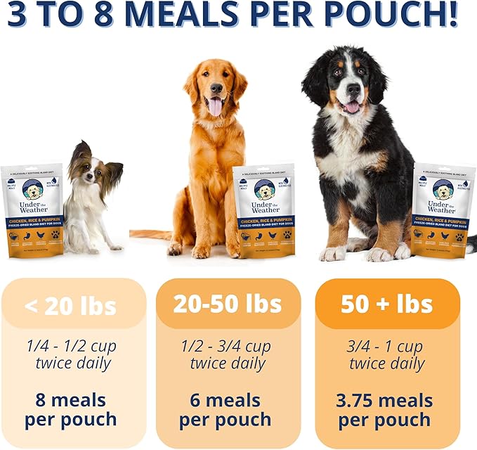 Under the Weather Bland Diet for Dogs | Easy to Digest for Sick Dogs |Always Be Ready | Contains Electrolytes - All Natural Freeze Dried 100% Human Grade Meats | 6 Pack - Rice, Chicken & Pumpkin - 6oz