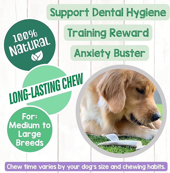 Nature Gnaws Antlers for Dogs (1Lb) - Mix of Elk and Deer Antler - Variety of Split and Whole Pieces - Long Lasting for Aggressive Chewers and Large Dogs (Packing May Vary)