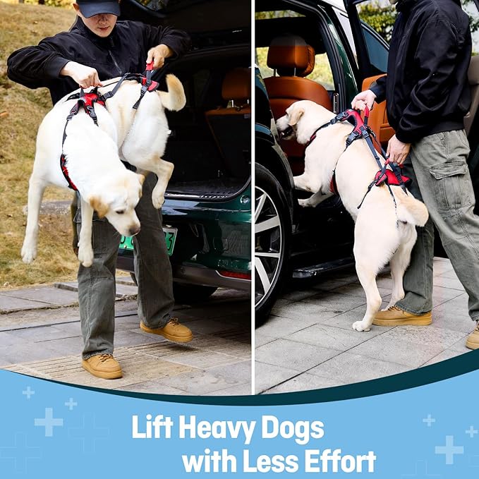 Dog Lift Harness for Extra Large Dogs, Heavy Dog Lifting Support Harness with Dual Handles, Strong Mobility Aid for Arthritis & Injury Recovery, Red, XL