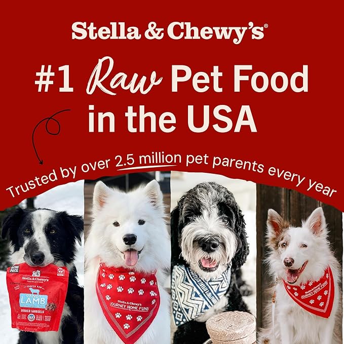 Stella & Chewy's Freeze-Dried Raw Pork Meal Mixers- Dog Food Topper and Mixer - Made with 95% Farm-Raised Pork, Organs & Bone - Perfect for Picky Eaters - Grain-Free - 3.5 oz