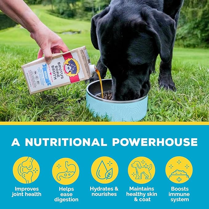 Brutus Bone Broth for Dogs | All Natural | Made in USA | Glucosamine & Chondroitin for Healthy Joints | Human Grade Ingredients | Hydrating Food Topper, Gravy & Treat Pack of 6