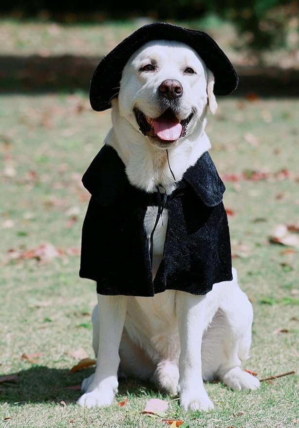 Hooded Cloak Witch/Wizard Costume for Large Pets, Dog Halloween Costume Hat and Cloak, Dog Witch Costumes Large
