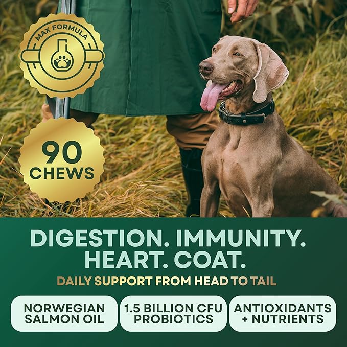 High-Performance & Longevity Soft Chews for Hunting, Sport and Working Dogs with Glucosamine, Chondroitin, Omega-3, Antioxidants, Ashwagandha, Probiotics, Beef Flavor, 90 Count