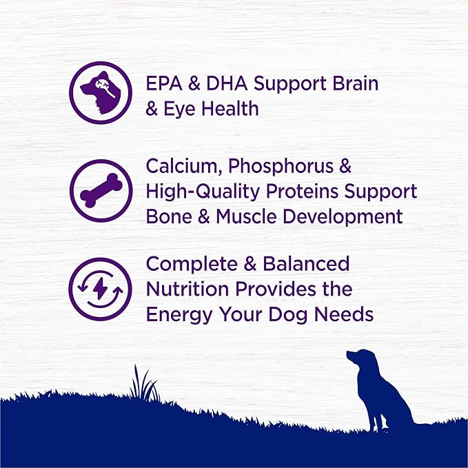 Wellness Complete Health Puppy Dry Dog Food, Large Breed, Wholesome Grains, Natural, Chicken, Oatmeal, & Salmon Recipe, (30-Pound Bag)