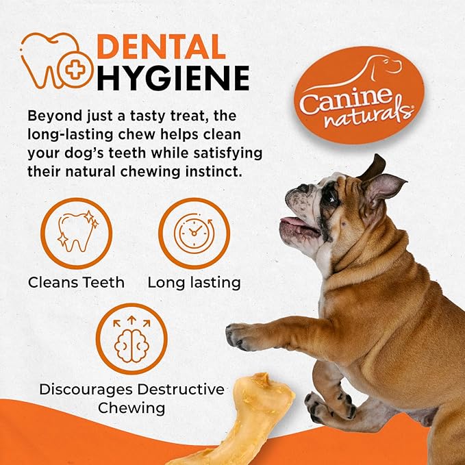 Canine Naturals IrresistiBONES Long Lasting Puppy Chicken and Rice Chew - Made with USA Chicken - All Natural - Added DHA for Healthy Growth - 3 Pack