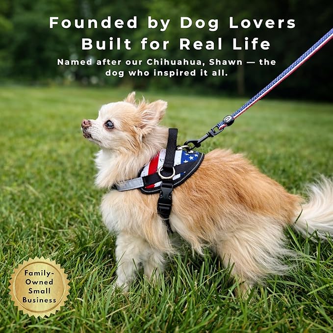 ShawnCo Essential Dog Harness, No-Pull Pet Vest with 3 Leash Clips, No Choke, Reflective, Adjustable and Padded, for Easy Walking and Training for Small, Medium and Large Dogs (Dark Camo, S)