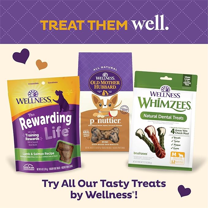 Old Mother Hubbard Wellness P-Nuttier Dog Biscuits, Natural, Training Treats, Peanut Butter Flavor, Mini Size, (20 Pound Box)
