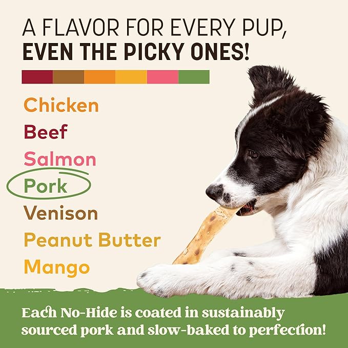 Earth Animal No Hide Strips - Natural Rawhide Free Dog Chew Strips, Pork - 10 Count Value Pack