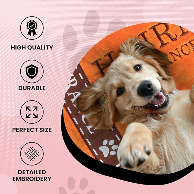 Dog Diggin Designs Parody Cloud 9 Bed Collection | Soft, Stylish, Comfortable, Eye-Catching Design | Machine Washable Removable Cover for Easy Cleaning