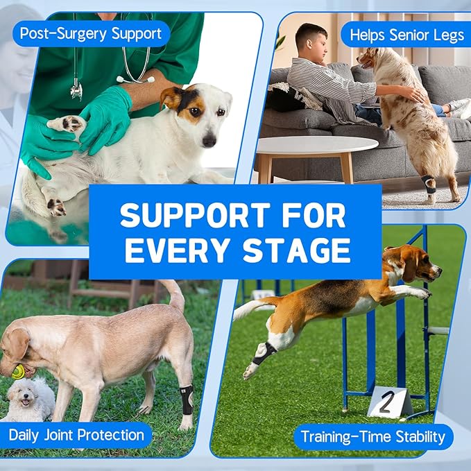 Dog Leg Brace Canine Rear Leg Support, Relieve Pain from Sprains, Arthritis, Enhancing Stability, Helps with Loss of Stability from Arthritis(Black,M)