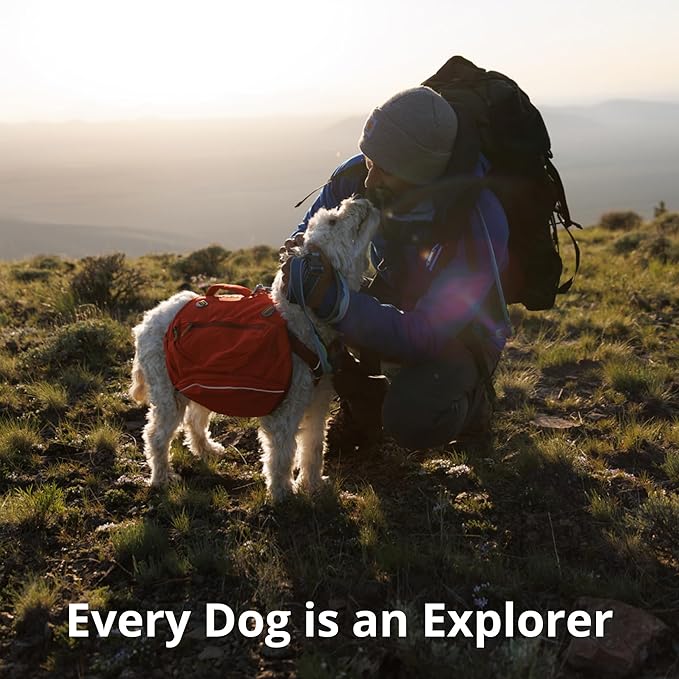 Ruffwear, Crag Dog Collar, Stylish Adventure Collar with Premium Reflective Design, Quick Release Buckle, Lightweight All-Day Comfort, Alpine Dawn, 11"-14"