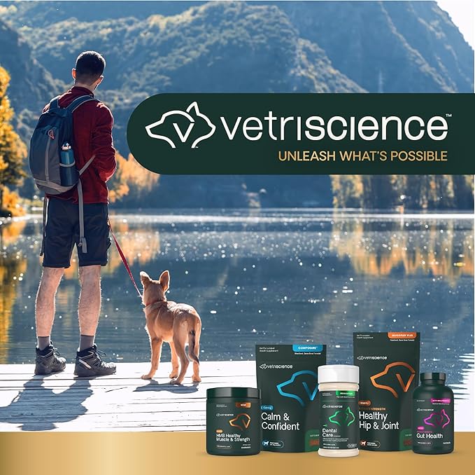 VetriScience Pinchers Pill Hiders Chews, Non-Greasy with Probiotics for Dogs, Disguise Small Capsules and Tablets, Soft and Chewy, Gut and Immune Support, Peanut Butter, 45 Count