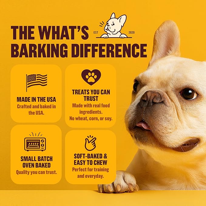 What's Barking Soft Bites, Soft Chewy Dog Treats for Training or Snacking, Pet Essentials, Bite Size Pieces for Dogs, Natural Ingredients, Made in USA, Resealable Bag (Pack of 1, Pumpkin Cinnamon)