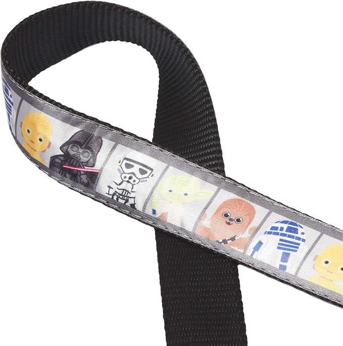 Star Wars for Pets All Star Characters Dog Leash - Cute Dog Lead Easily Attaches to Any Collar or Harness - Officially Licensed Pet Walking Leash, 4 Foot (48 Inch)