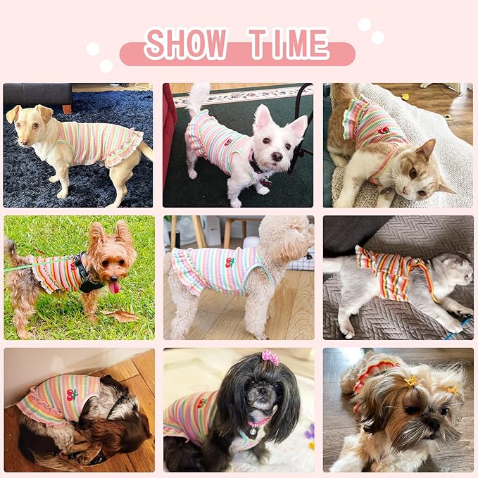 Cute Dog Dress for Small Dogs Girl Birthday Puppy Clothes Spring Summer Dog Outfits Rainbow Colorful Striped Cherry Princess Pet Tutu Skirt Doggie Cat Chihuahua Yorkies Dresses