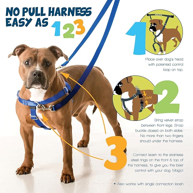 2 Hounds Design Freedom No Pull Dog Harness, Adjustable Harness, Easy Walking & Comfortable Control, Fits Small, Medium & Large Dogs, Solid Colors, Made in USA, 1" XXL, Royal Blue