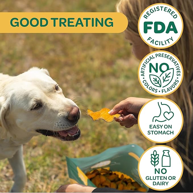 Wholesome Pride Pumpkin Slices Dog Treats – Limited Ingredient, Dehydrated, All Natural, 10 oz