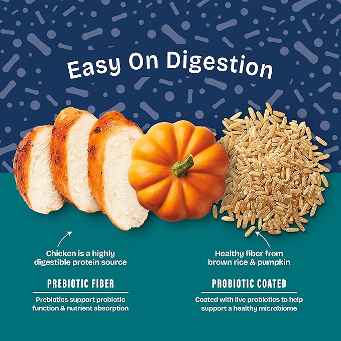 Natural Balance Health Protection Dry Dog Food – Whole Body Health, Easy on Digestion Dog Food Made with Chicken, Brown Rice & Pumpkin for Dogs - 24lbs.