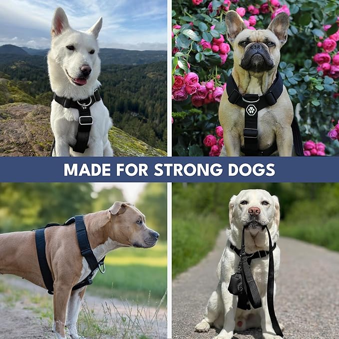Spark Paws No Pull Dog Harness with Handle for Large Dogs, Heavy Duty Dog Harness for Big Strong Breeds, Adjustable, Y Shaped Padded Halter Design with Front Clip - Black - M