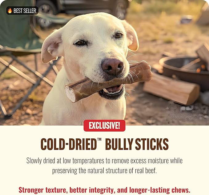 Natural Farm Cold-Dried™ Bully Sticks 6 Inch (5 Count) – Odor Free Longer Lasting High Protein Dog Chews – 100% Beef Pizzle, Single Ingredient, Durable for Aggressive Chewers