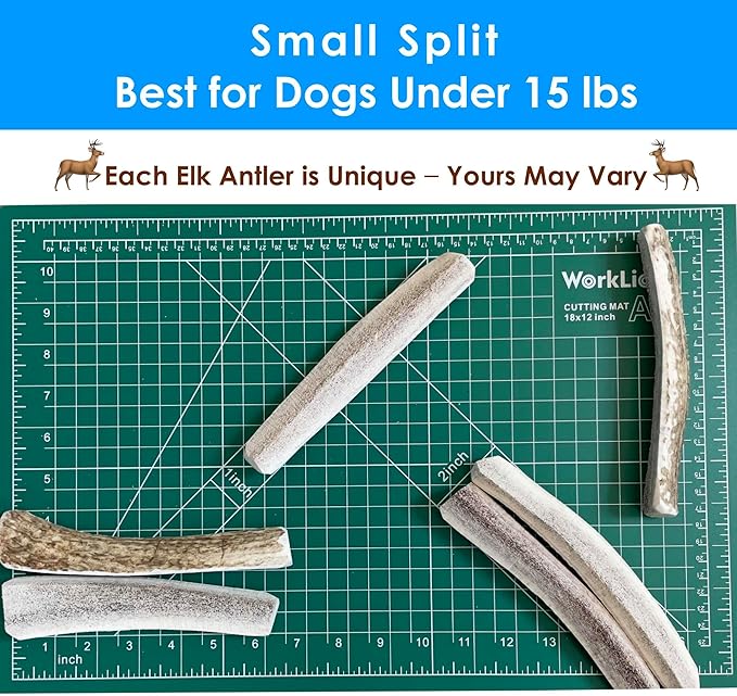 1-Pack Small Split Elk Antler Dog Chew (5 to 6.5+ in) – All Natural, Premium Grade A, Odor-Free, USA-Sourced – Long-Lasting Dental Treats for Toy and Small Dogs Under 15 lbs