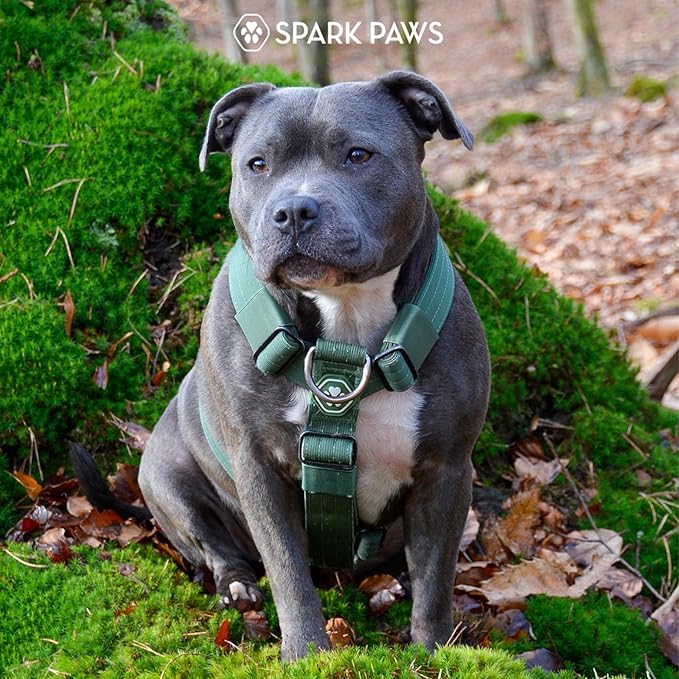 Spark Paws No Pull Dog Harness with Handle for Large Dogs, Heavy Duty Dog Harness for Big Strong Breeds, Adjustable, Y Shaped Padded Halter Design with Front Clip - Army Green - S