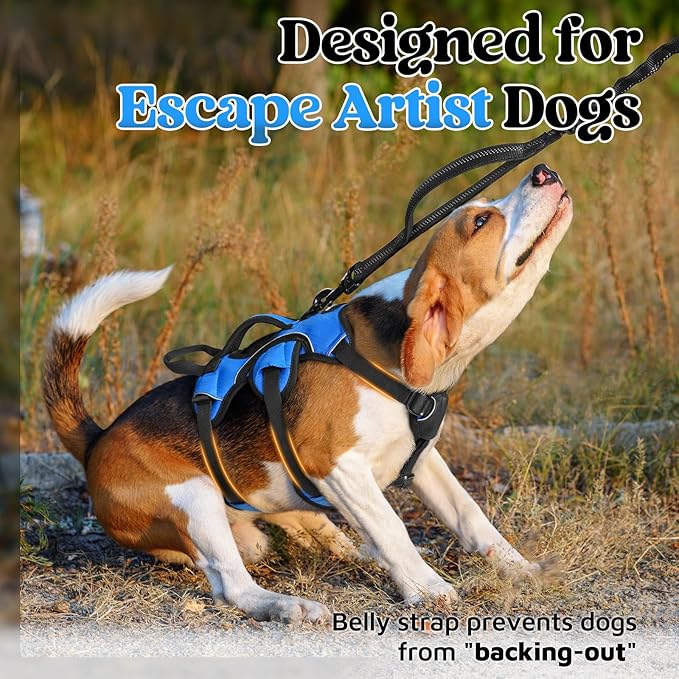 rabbitgoo Escape Proof Dog Harness, Soft Padded Full Body Pet Harness, Reflective Adjustable No Pull Vest with Lift Handle and Leash Clip for Large Dogs Walking Hiking Training, S, Blue