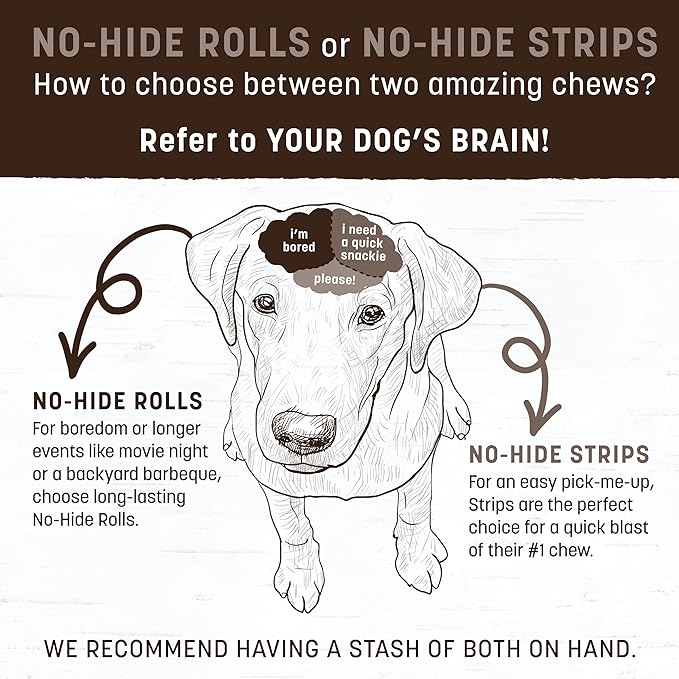 Earth Animal No Hide Chews - Long Lasting Rawhide Free Medium Dog Chews Rolls, Pork - 3 Count Value Pack