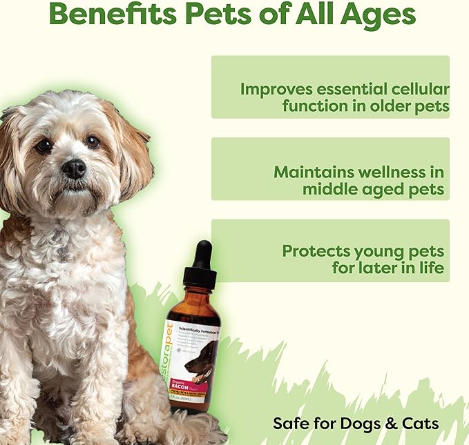 RestoraPet 1-Pack Dog & Cat Bacon Liquid Multivitamin | Dog Arthritis Pain Relief | Hip & Joint Vitamins for Dogs - Anti Inflammatory Supplement for Dogs & Cats | Organic & Non-GMO, Vet Approved
