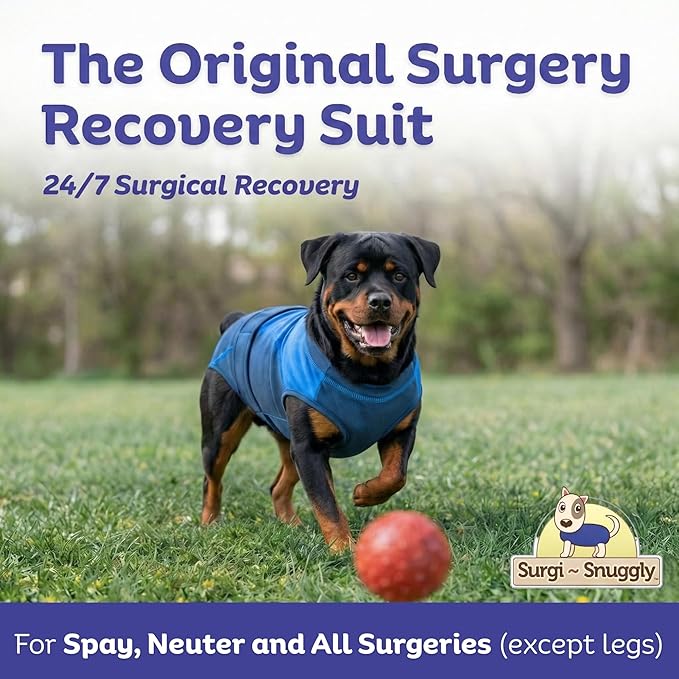 Surgi Snuggly Dog Surgery Recovery Suit - Dog Onesie for Post Surgery Recovery, Female Spay & Male Neuter - Surgical Suit for Dogs, E-Collar Cone Alternative, Double Blue - 2XL Small - 28" - 32" (EC)