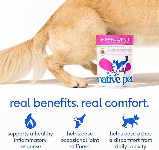 Native Pet Inflammatory Care - Pain Relief for Dogs - Green-Lipped Mussel, Turmeric & Collagen for Dogs - Hip and Joint Supplement Supports Healthy Inflammatory Response & Joint Comfort - 60 Chews