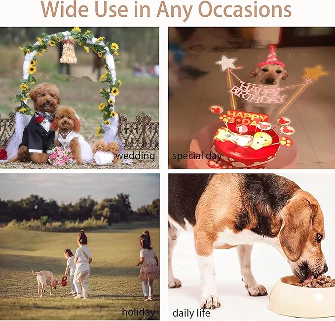 Pet Dresses for Small Dogs Cats Girl, Cute Princess Bowknot Dress Puppy Shirt All Weather Skirt Clothes Cat Apparel for Birthday Wedding Party Holiday (Large, Velvet Black)