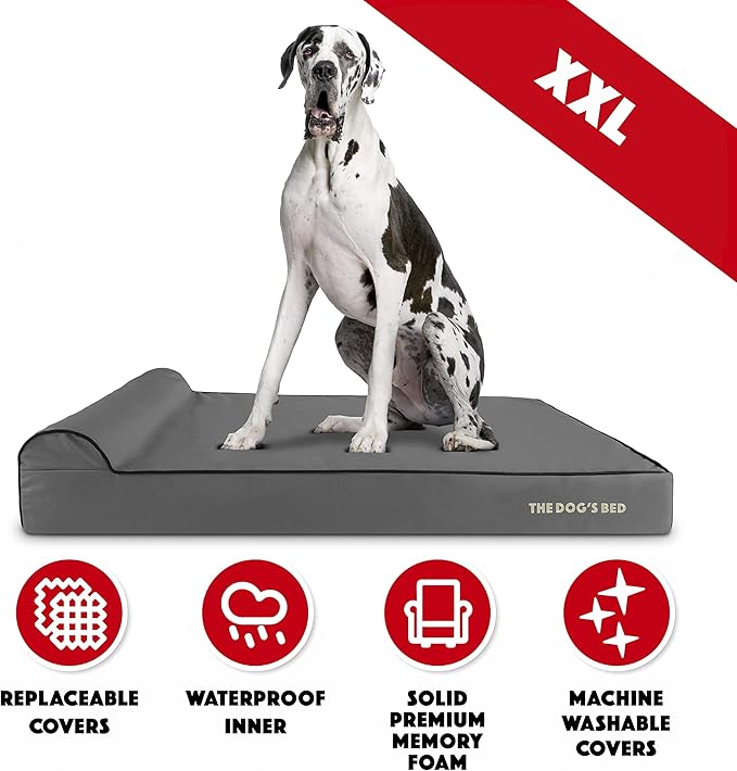 The Dog’s Bed Orthopedic Memory Foam Dog Bed with Headrest, Calming Surface – CertiPUR-Certified Foam, Oxford Fabric, Grey with Black Trim, XXL, 6-Inch
