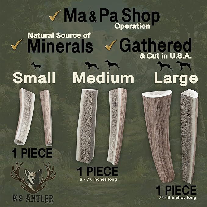 Deer Antlers for Dogs – Medium Split (6-7.5 Inch), Stimulating Chew, Naturally Shed in The Wild, Responsibly Gathered in The USA