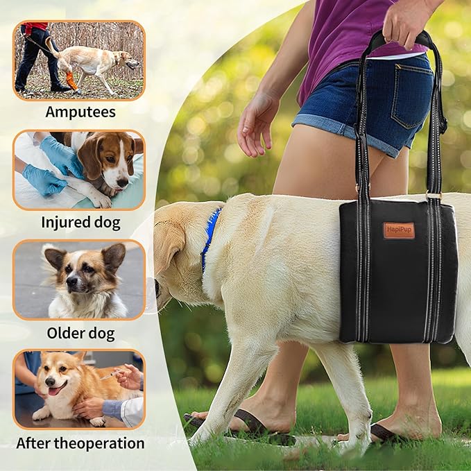 Dog Lift Harness for Large Dogs, Adjustable Comfortable Dog Sling with Handle, Knee & Rear Leg Support for Torn ACL Rehabilitation, Weak Rear Legs, Helps Senior, Disabled Canines(Black,L)