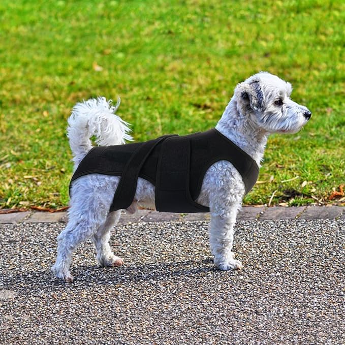 Dog Back Brace for IVDD & Spinal Recovery, Adjustable Breathable Support Vest Dog Lumbar Protector Helps Pain Relief, Pet Surgical Suit for Back Disease Prevention, Black XS