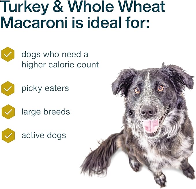 JustFoodForDogs Frozen Fresh Dog Food, Complete Meal or Dog Food Topper, Turkey & Whole Wheat Macaroni Human Grade Dog Food Recipe, 18 oz (Pack of 21)