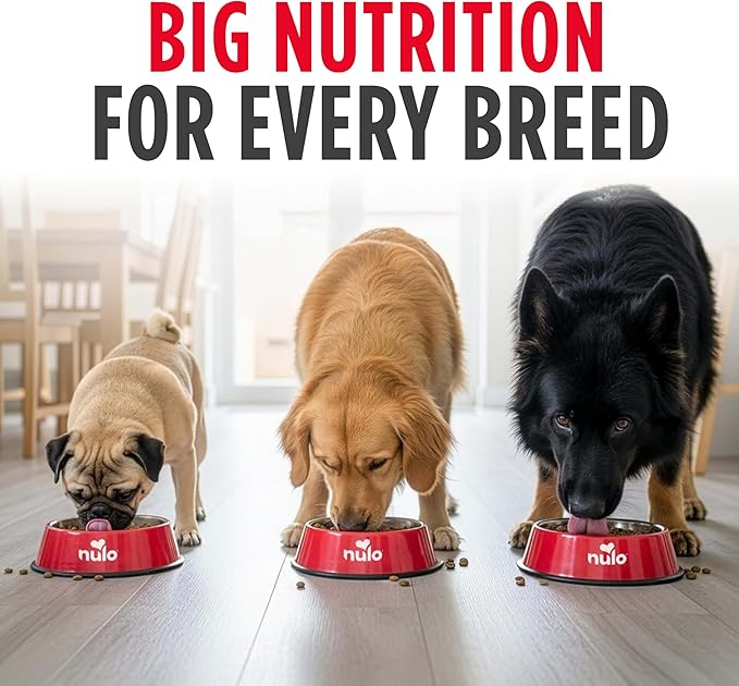 Nulo Frontrunner Dry Dog Food - Adult High-Protein Beef, Barley & Lamb Recipe, Natural Kibble with Ancient Grains, Probiotics, Taurine, Omega 3 for Small, Medium and Large Breeds, 25lb Bag