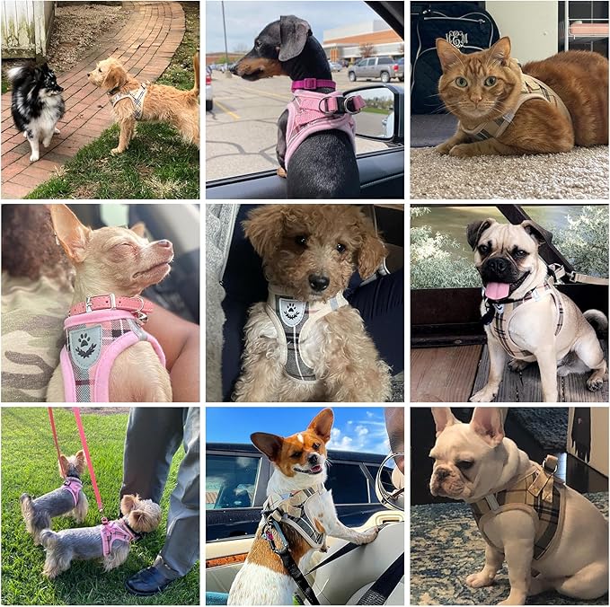 KOOLTAIL Dog Harness for Small Medium Dogs ,Dog Harness and Leash Set, Step in No Pull Soft Mesh Padded Adjustable and Reflective Pet Vest Harness Puppy, Plaid Extra Harness for XS S Dogs, Pink M