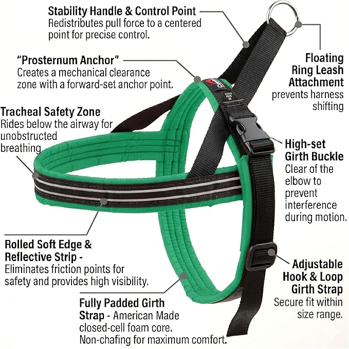 ComfortFlex Sport Dog Harness – No-Choke, Fully Padded, Non-Chafing Harness with Control Handle – Reflective, Lightweight, Adjustable for Active Dogs – Medium, Kelly Green