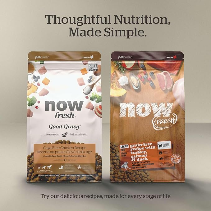 NOW FRESH Grain Free Dog Food, 12 lb – Grain Free Dry Dog Food Recipe for Adult Dogs with Real Meat and Fish for Protein – For Small, Medium and Large Breeds