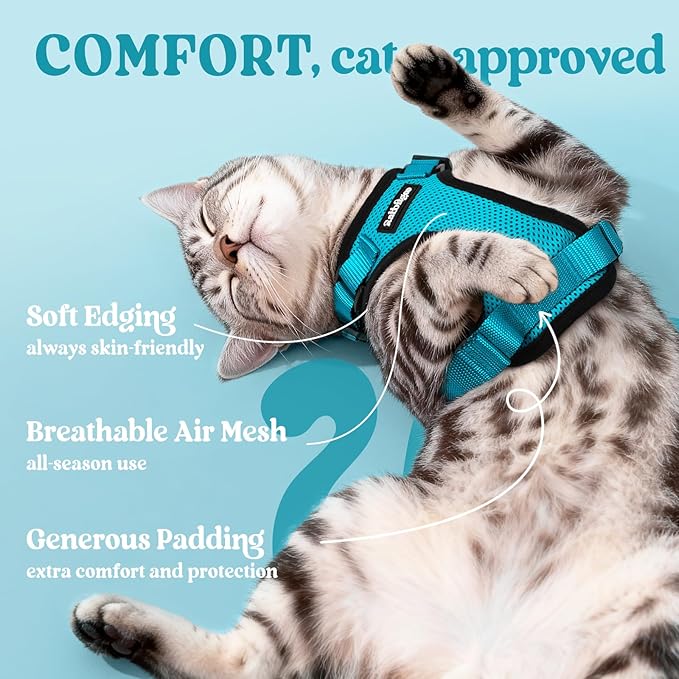 rabbitgoo Cat Harness and Leash for Walking, Escape Proof Soft Adjustable Vest Harnesses for Cats, Easy Control Breathable Reflective Strips Jacket, Teal, S